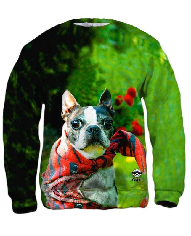 Timeless Street Super Hero Boston Terrier